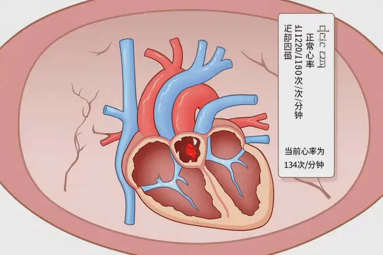 孕32周胎心134正常嗎(圖2)