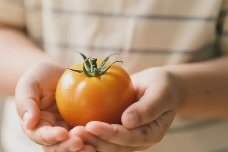 兒童手上容易長濕疹不管它會自己好嗎(圖1)