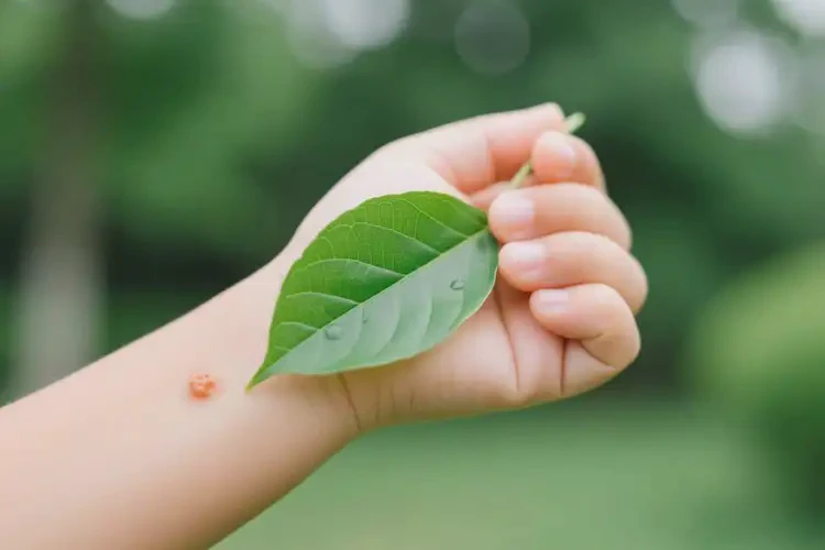 小孩手上偶尔起湿疹不管它会自己好吗(图2)