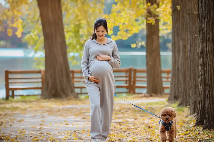 孕妇餐后血糖8(图1)