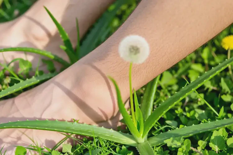 青年人小腿上出濕疹可不可以徹底自愈(圖4)