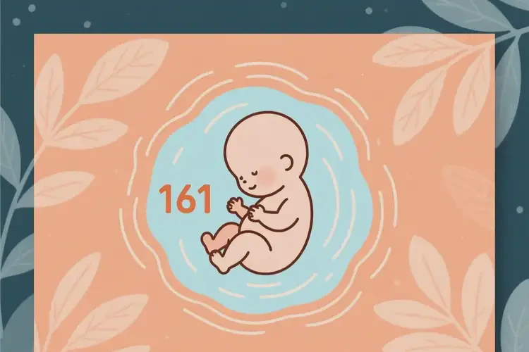 孕11周胎心161正常嗎(圖1)