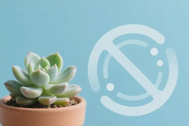 中年人中餐血糖5点1是糖尿病吗(图2)