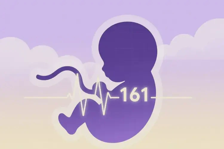 孕11周胎心161正常嗎(圖2)