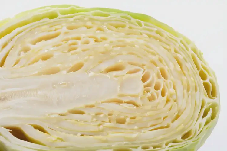 糖尿病可以吃大头菜吗(图3)