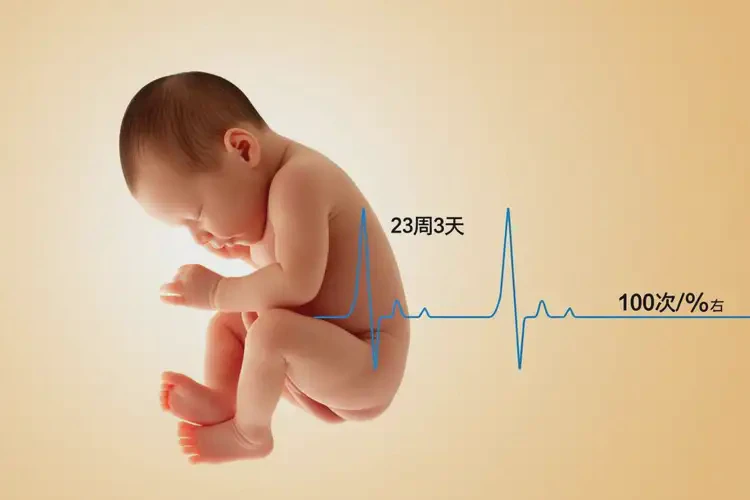 孕23周3天胎心率100左右寶寶還能要嗎(圖4)