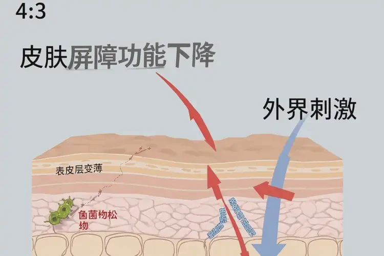 老年人大腿偶爾長濕疹能徹底自愈嗎(圖4)