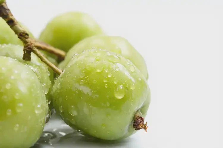 女性糖尿病前期能吃青梅吗(图4)