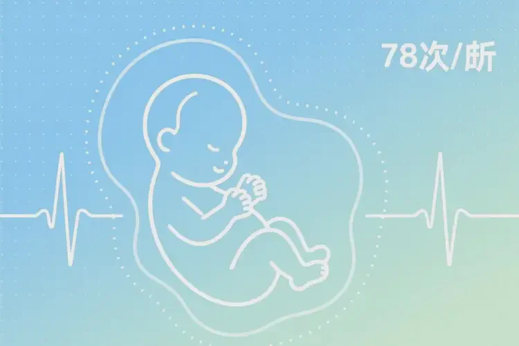 孕14周3天胎心率78怎么回事(圖2)