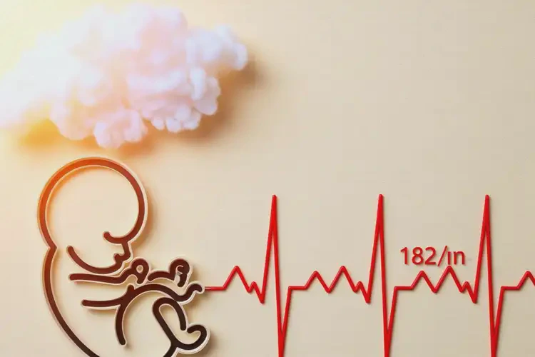 孕11周1天胎心率182怎么回事(圖3)