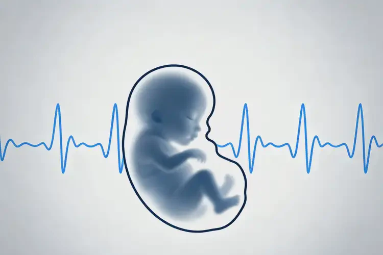 中期妊娠胎心88有危險嗎(圖3)