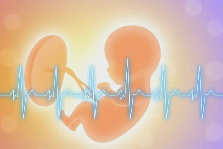 孕4周5天胎心169有危險(xiǎn)嗎(圖1)