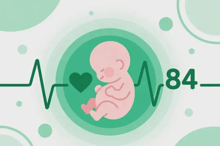 懷孕第29周胎心率84有危險(xiǎn)嗎(圖1)