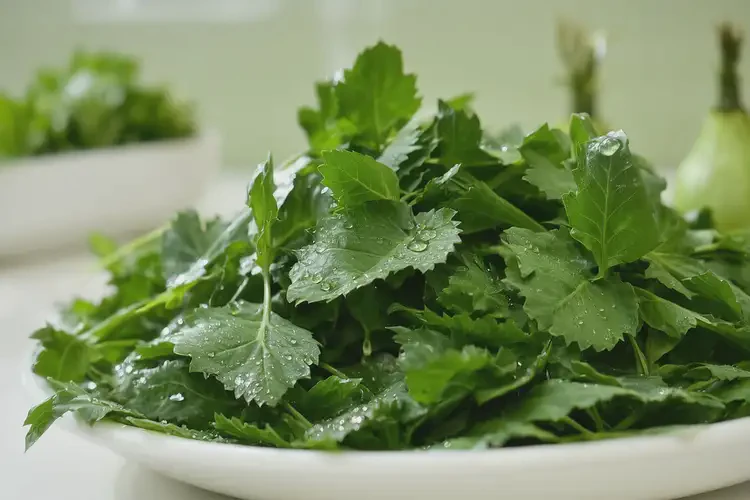 男人糖尿病一开始能吃苜蓿吗(图1)