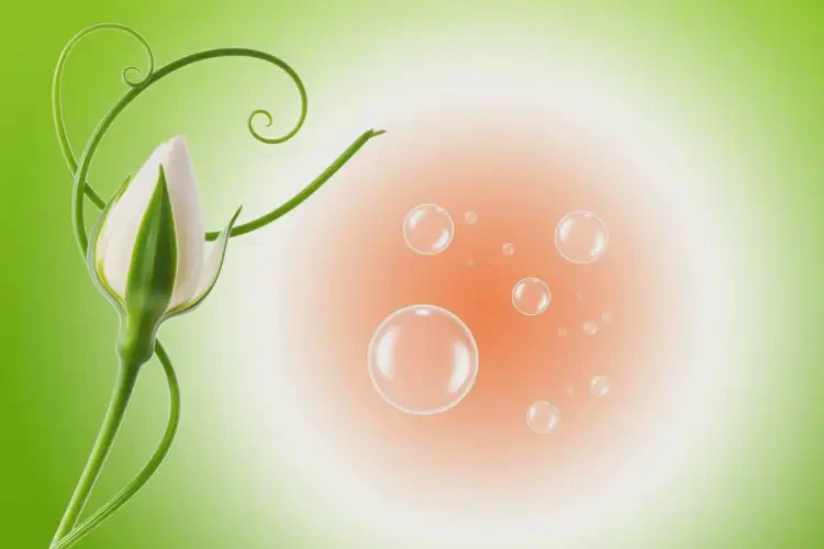 孕婦身上經(jīng)常長(zhǎng)濕疹不管它會(huì)自己痊愈嗎(圖4)