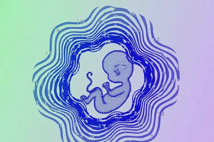 孕11周1天胎心率182怎么回事(圖2)