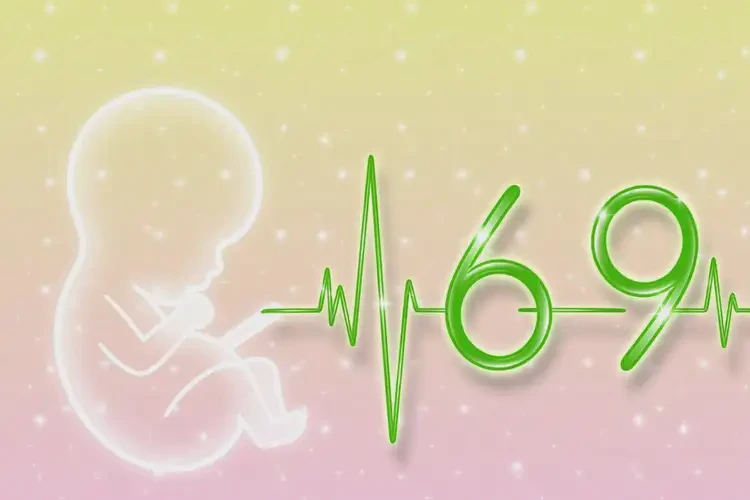 孕4周5天胎心169有危險(xiǎn)嗎(圖3)