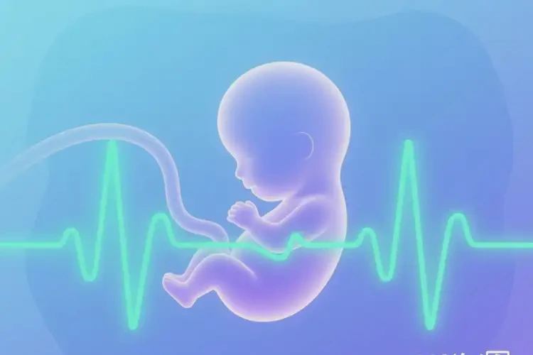 孕4周5天胎心169有危險(xiǎn)嗎(圖4)