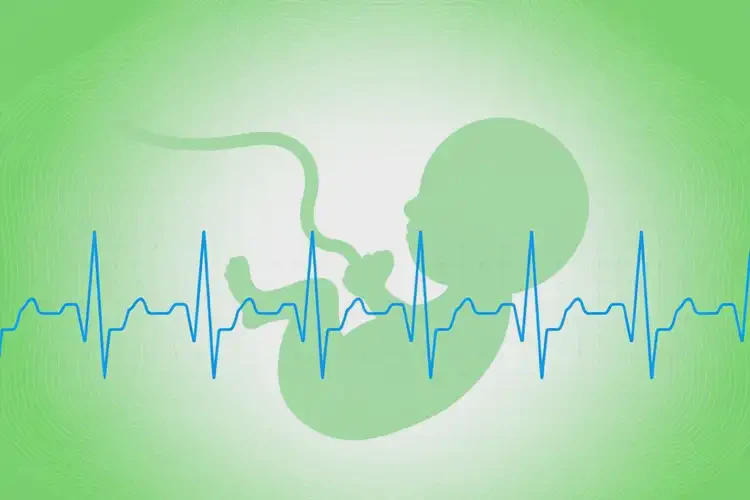 孕4周5天胎心169有危險(xiǎn)嗎(圖2)