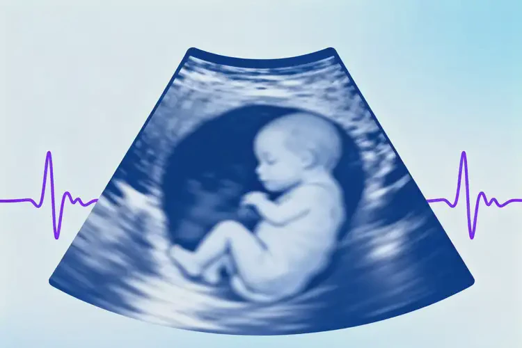 中期妊娠胎心88有危險嗎(圖1)