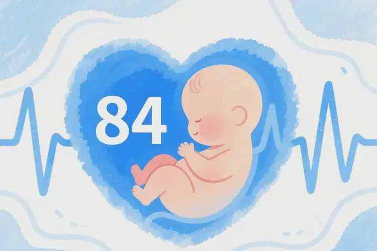 懷孕第29周胎心率84有危險(xiǎn)嗎(圖2)