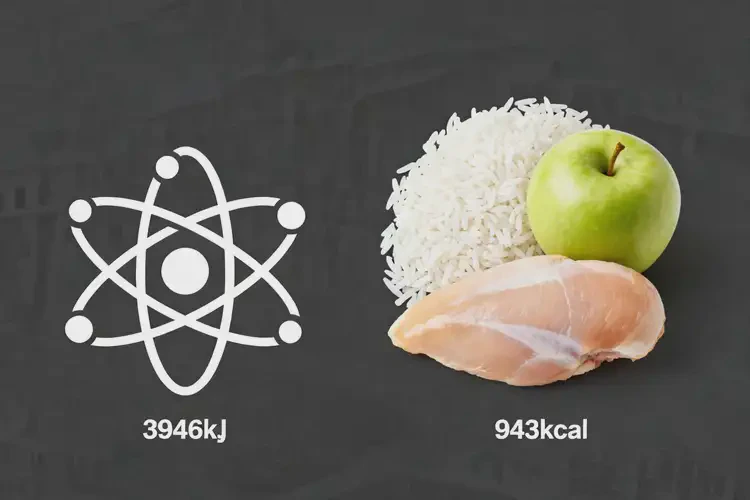 100克3946千焦等于多少热量(图1)