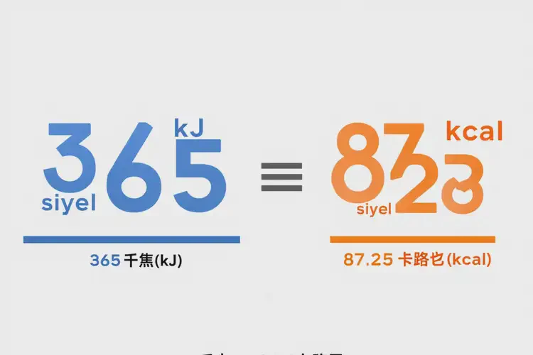 100克365千焦等于多少热量(图4)