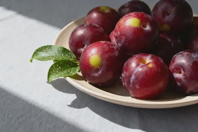 哺乳期寶媽可以吃李子嗎(圖3)