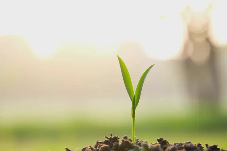 青少年肛周有濕疹能徹底自愈嗎(圖4)