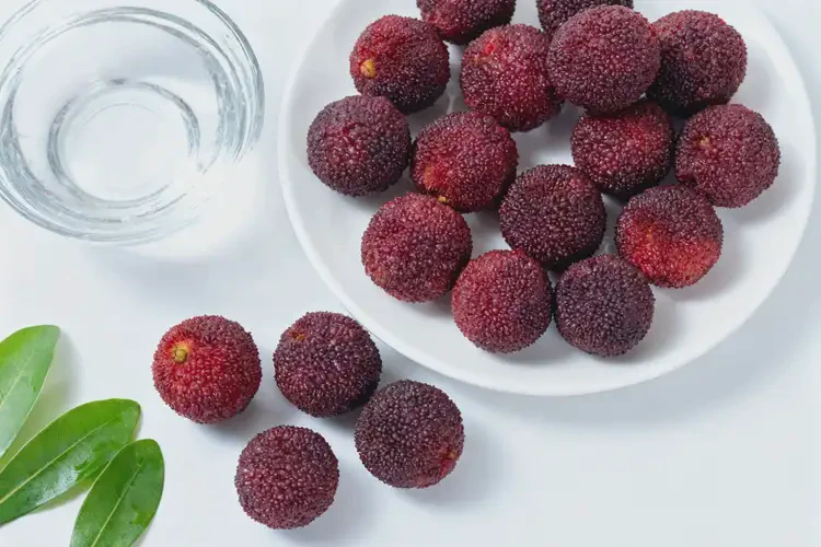 孕18周5天吃楊梅可以嗎(圖3)