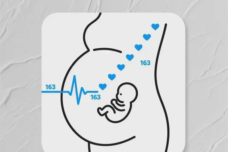 懷孕100多天胎心163還要保胎嗎(圖2)
