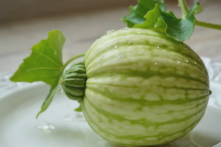 糖尿病足患者三伏天可以吃葫芦吗(图3)