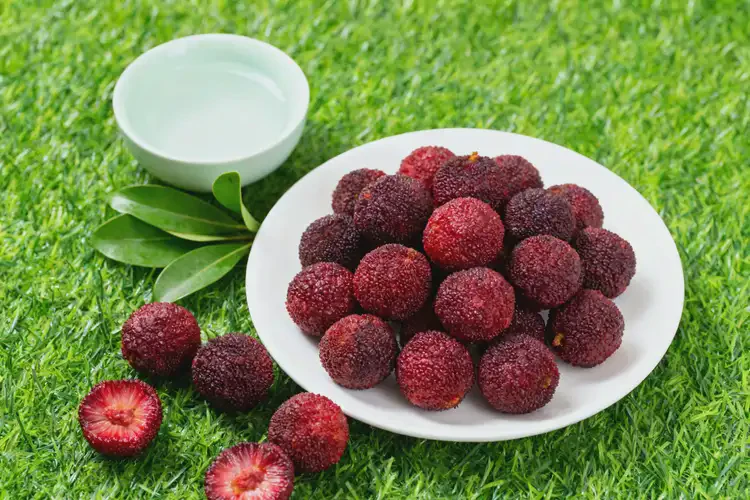 孕18周5天吃楊梅可以嗎(圖1)