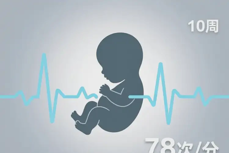 懷孕10周胎心78正常嗎(圖1)