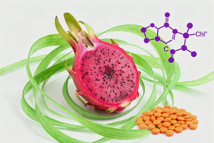 懷孕第17周吃紅心火龍果可以嗎(圖2)