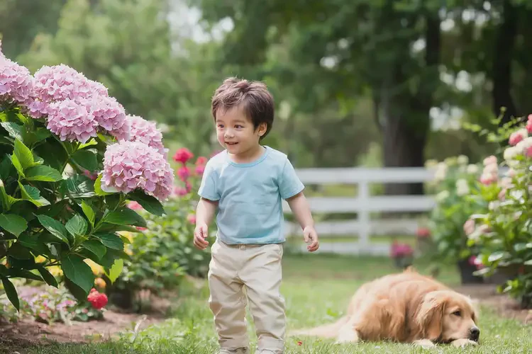 小兒小腿出現(xiàn)濕疹不管它會自己痊愈嗎(圖1)