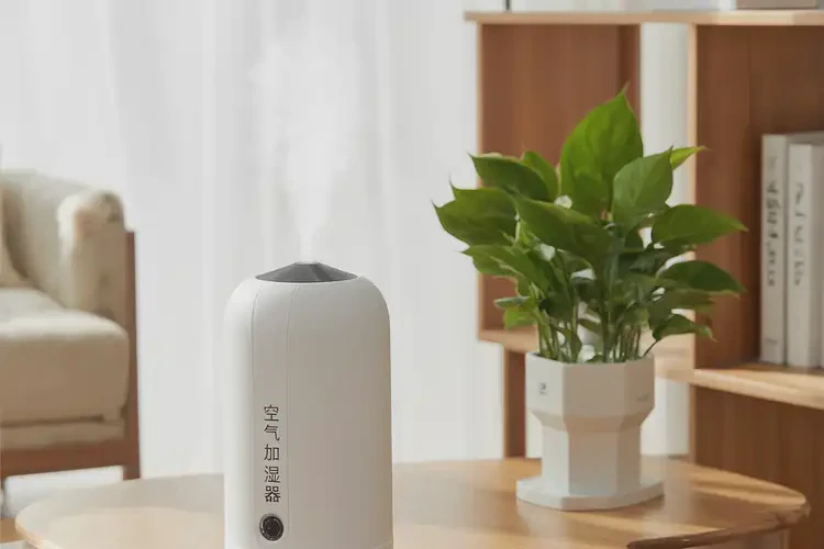 兒童手臂長濕疹不管它會自己好嗎(圖1)