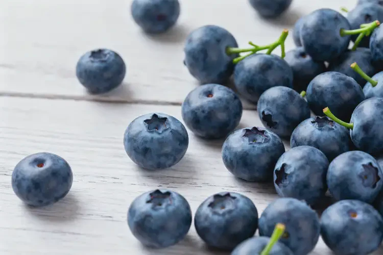 大病初愈后吃藍(lán)莓可以嗎