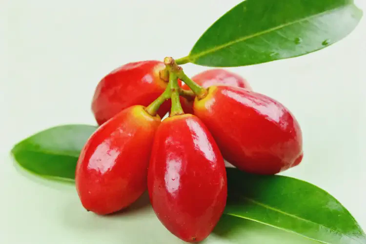 發(fā)育期女生可以吃針葉櫻桃嗎(圖3)