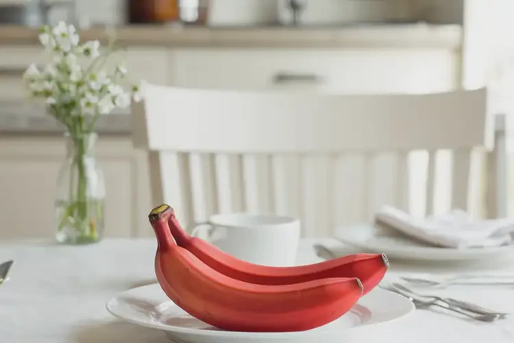 懷孕五個(gè)月可以吃南洋紅香蕉嗎