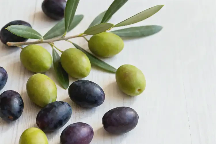 懷孕五個月可以吃橄欖嗎(圖4)