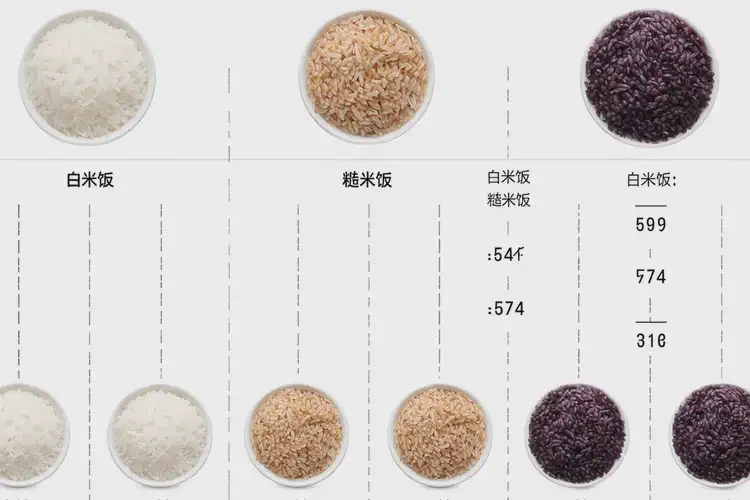 100克2829千焦等于几碗饭(图3)