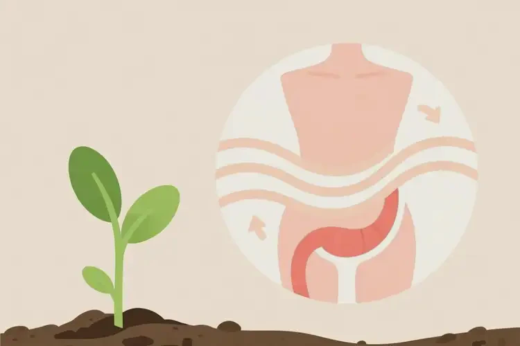 大學(xué)生肛周長濕疹能徹底自愈嗎(圖3)