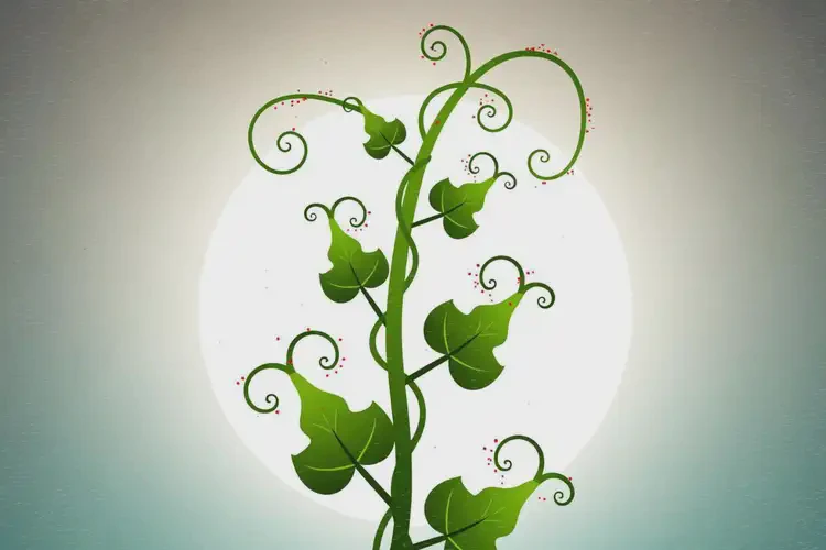 女人全身容易起濕疹不管它會(huì)自己痊愈嗎(圖4)