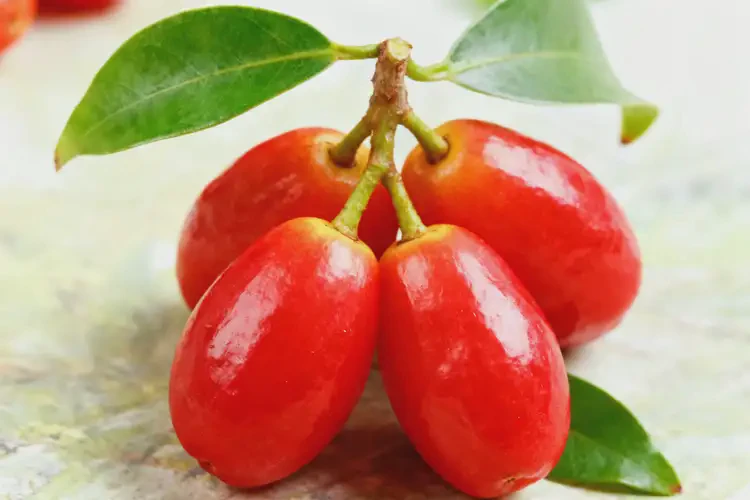 發(fā)育期女生可以吃針葉櫻桃嗎(圖2)