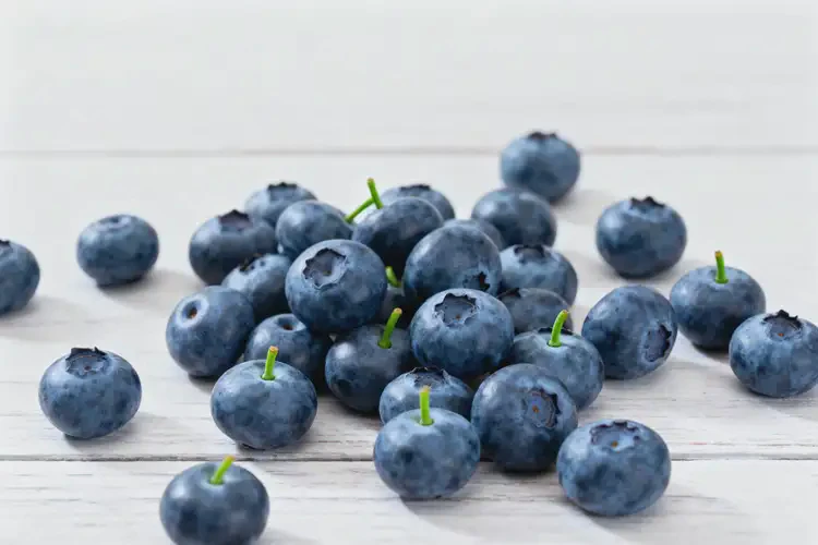 大病初愈后吃藍(lán)莓可以嗎(圖3)