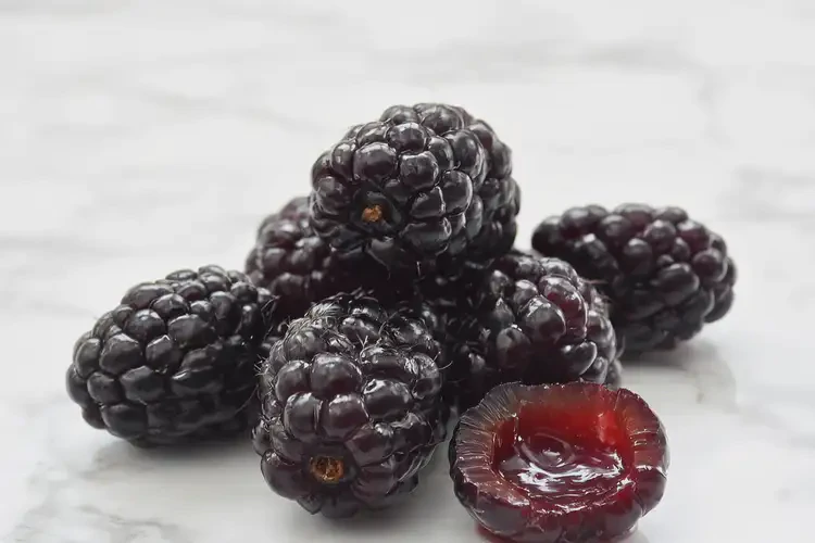 懷孕60天吃桑葚可以嗎(圖4)