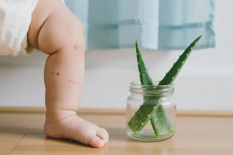 嬰兒四肢起濕疹不管它會自己自愈嗎(圖2)