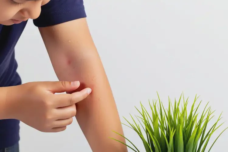 中學生手臂上出現(xiàn)濕疹能不能徹底自愈(圖2)