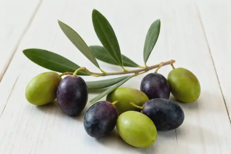 懷孕五個(gè)月可以吃橄欖嗎